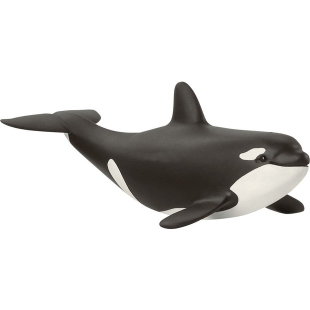 SC Baby Orca (6601303523527)