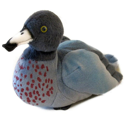 NZ Blue Duck Sound Bird (4571388608547)