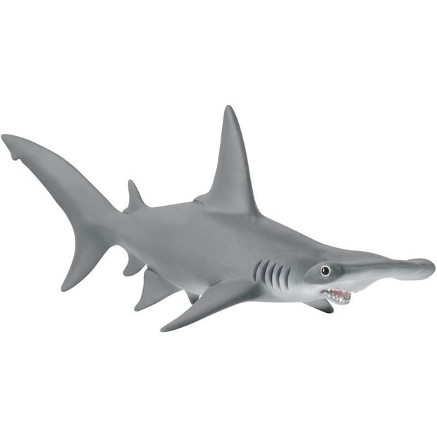 SC Hammerhead Shark (6601303064775)