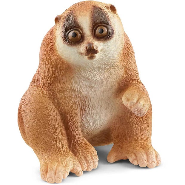 SC Slow Loris (7348779548871)