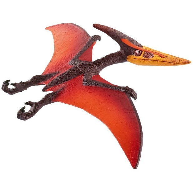 SC Pteranodon (6705080860871)