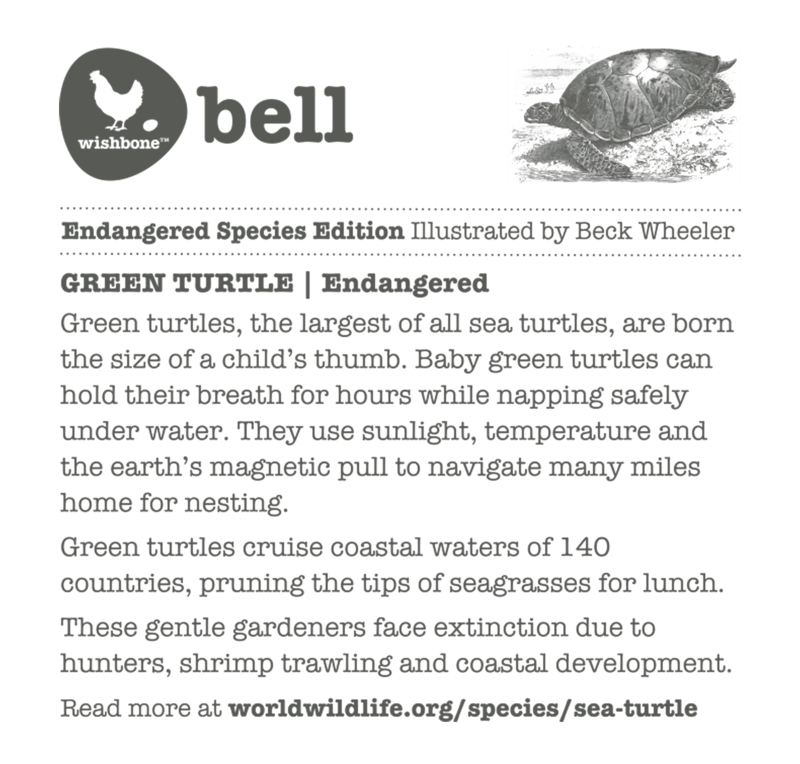 Wishbone Bell Turtle (4572406087715)