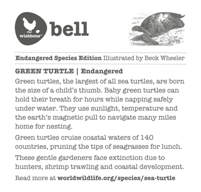 Wishbone Bell Turtle (4572406087715)