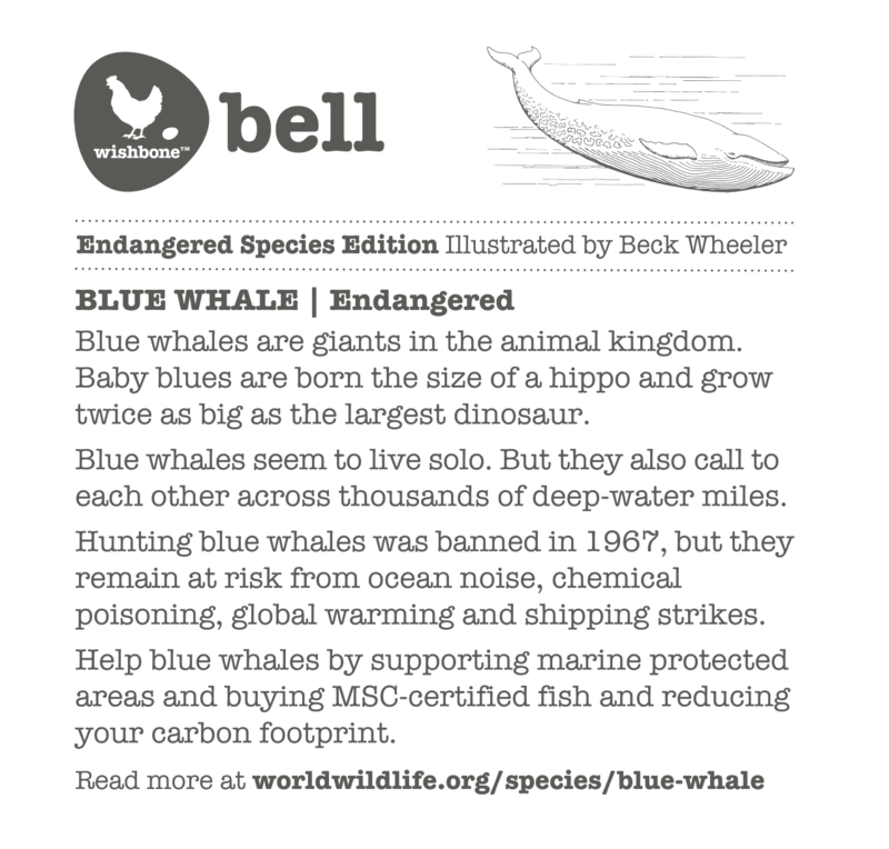 Wishbone Bell Whale (4572406120483)
